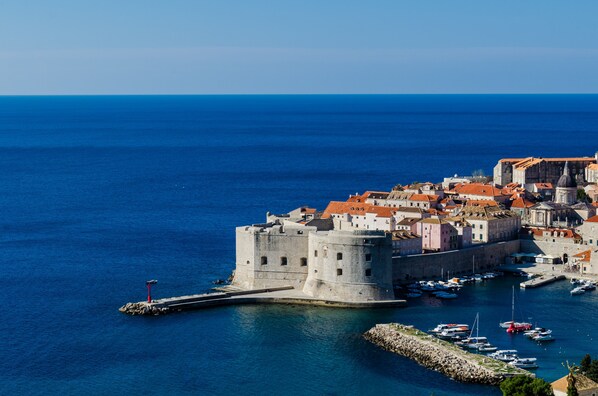 A coastal town with a prominent castle, a marina with boats, and a clear view of the sea.