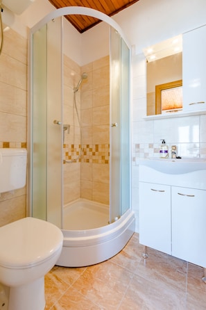 Shower, hair dryer, towels