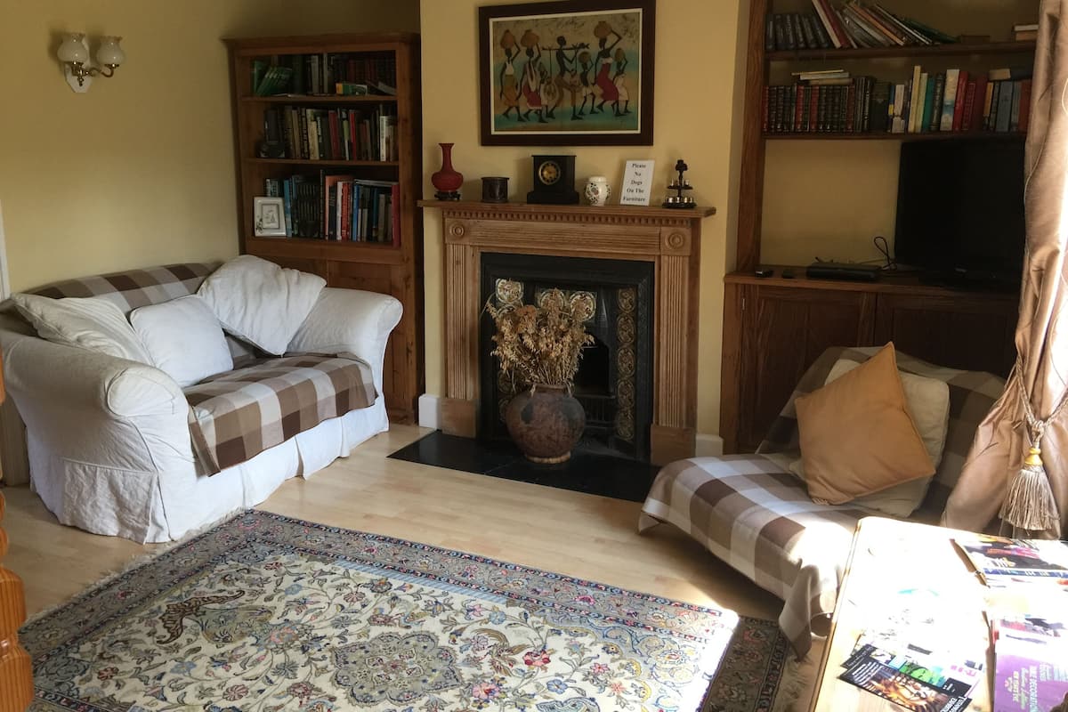 Una sala de estar con sofá, chimenea, estantería y televisor.