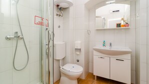 A modern bathroom with a glass shower enclosure, a toilet, a sink, and a mirror.