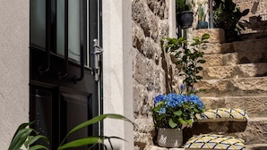 Una escalera de piedra que lleva a la entrada de un edificio, con plantas en macetas y cojines en los peldaños.