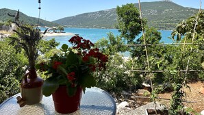 Ein Tisch mit Topfpflanzen und Blick auf eine Küstenlandschaft mit Bergen und Strand.