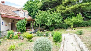 A house with a tiled roof, a porch, and a garden with various plants and a pathway.