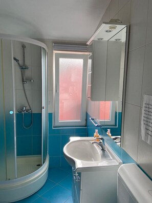 Shower, hair dryer, towels