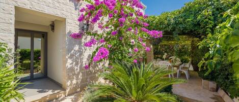 テラス / パティオ