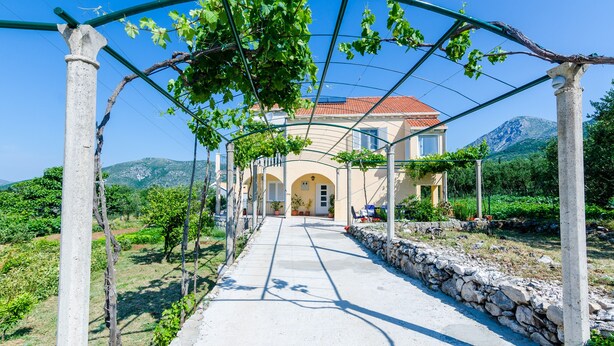 Un sentier traversant un vignoble et menant à une maison dont le toit est recouvert de tuiles rouges, le tout entouré de verdure et de montagnes.