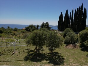 Property grounds - Apartment D & D Orebić - Three Bedroom Apartment with Terrace and Sea View (Orebic)