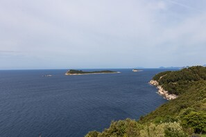 Eine Küstenlandschaft mit freiem Blick auf das Meer und einer kleinen Insel.