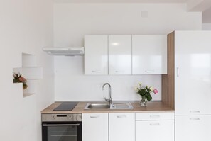 Fridge, oven, stovetop, cookware/dishes/utensils