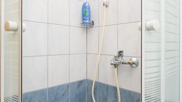 Une douche équipée d’un pommeau de douche à main, d’une bouteille de shampoing et d’une cabine de douche fermée par des parois en verre.
