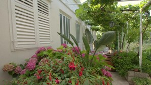 A garden area with large green leaves and red flowers, a white building with shutters, and a pergola with hanging plants. - Apartments Cervelin - Two-Bedroom Apartment with Two Terraces and Sea View (Lopud)