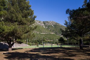 Cancha deportiva