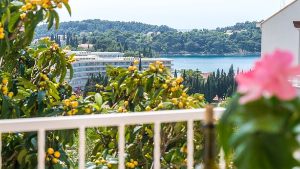 A balcony with a view of a coastal area, including a building with a curved facade and a body of water. - Villa Bind Basic Double Room,Patio & Garden ViewR3 (Obod)