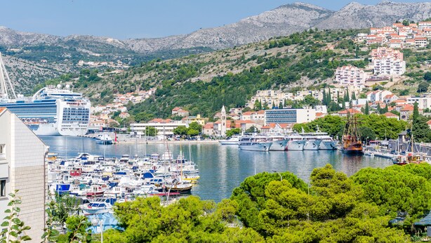 Un port de plaisance avec différents types de bateaux, un navire de croisière et des bâtiments situés sur une colline.
