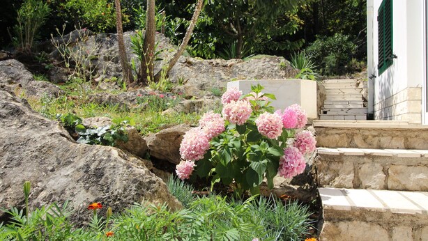 Een tuin met grote rotsen, roze bloemen en een stenen trap naar een gebouw met een witte muur en groene luiken.