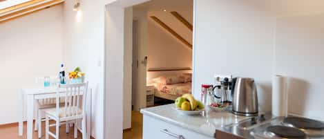 Fridge, stovetop, cookware/dishes/utensils