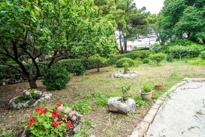 Terrain de l’hébergement 