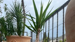 A balcony with terracotta pots containing plants and a cactus. - Apartments Mavi - Two-Bedroom Apartment with Terrace and City View (Dubrovnik)
