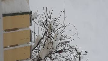 A bird feeder with several birds perched on it, surrounded by snow-covered branches.