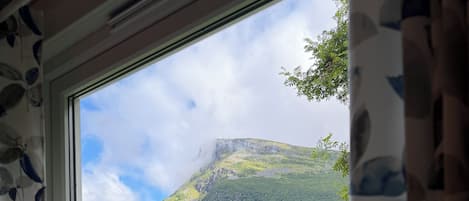 A window with a view of a green landscape and a mountain.