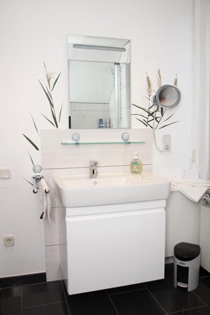 Ensemble douche/baignoire, sèche-cheveux, serviettes fournies