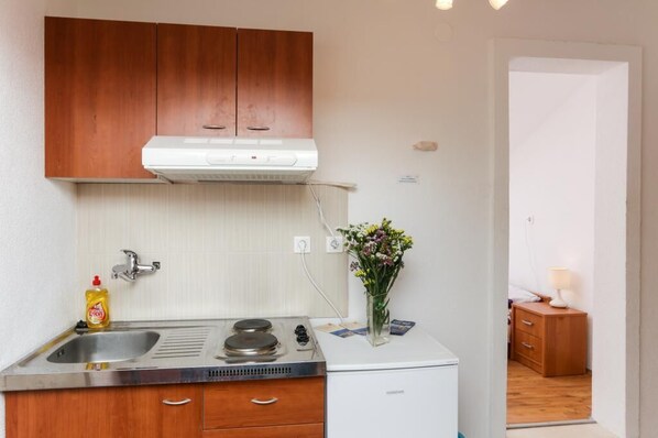 Fridge, oven, stovetop, electric kettle