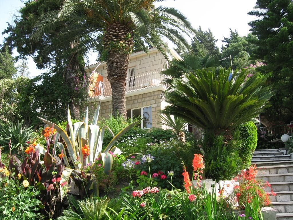 A garden with various plants and flowers, a palm tree, and a building with a balcony.