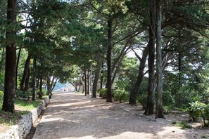 Property grounds - Apartment Heart of Dubrovnik - One-Bedroom Apartment with Terrace (Dubrovnik)