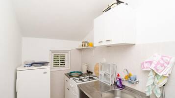 Fridge, stovetop, cookware/dishes/utensils
