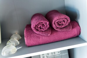 Douche, séchoir à cheveux, serviettes fournies
