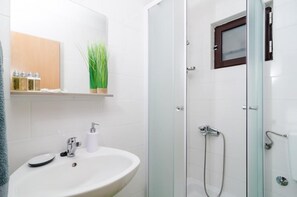 Douche, séchoir à cheveux, serviettes fournies