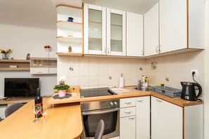 Fridge, oven, stovetop, cookware/dishes/utensils