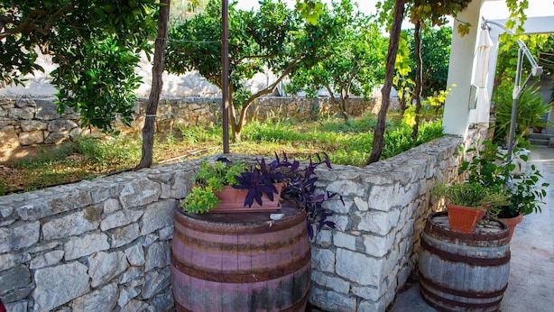 Dos barriles rústicos utilizados como macetas con diversas plantas, frente a un muro de piedra en un jardín.