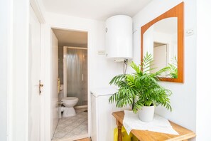 A bathroom with a toilet, a white sink, a mirror, and a potted plant.