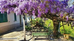 A garden with a bench, a tree with purple flowers, and a building with green shutters. - La Vivagna - Sea view house among the olive trees (Leivi)