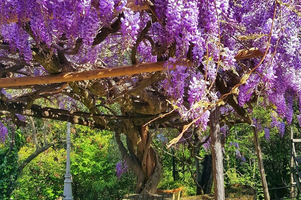 Àrea exterior de l'allotjament