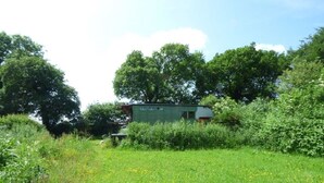 A small, green, single-story building surrounded by lush greenery and trees. - Rumenco, self contained 2 person, secluded/unique off grid glamping, own meadow! (boncath)