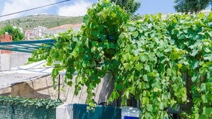 Un edificio con una valla metálica verde y un cartel que dice "APARTMENT".
