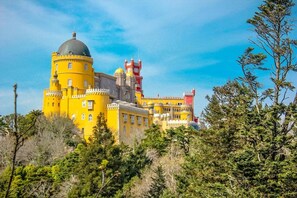 Stunning historic landmark with a grand dome and ornate towers amidst lush greenery.