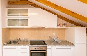 Fridge, oven, stovetop, cookware/dishes/utensils