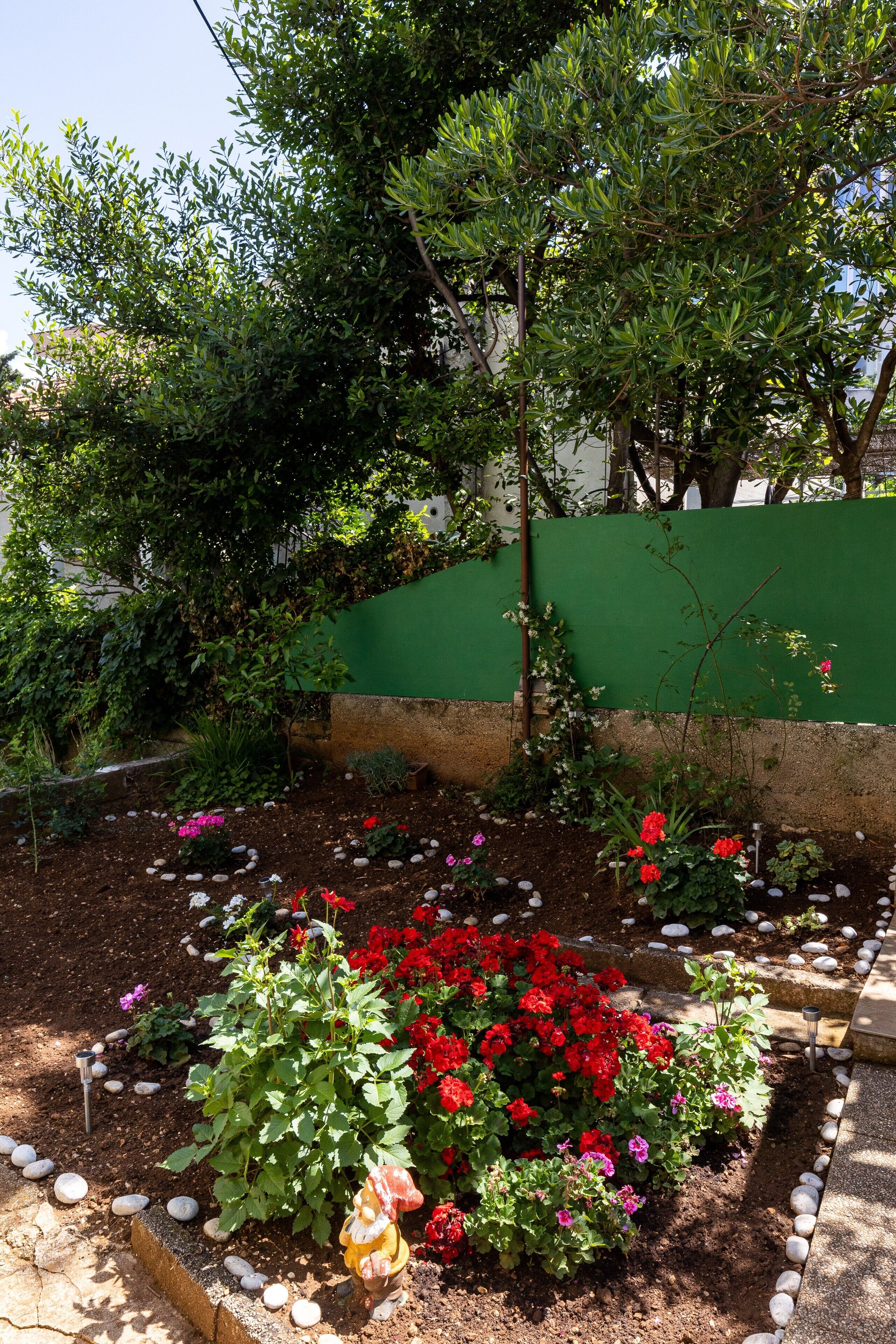 A garden with various plants and flowers, a green wall, and a stone pathway.