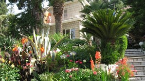 Un jardín con diversas plantas y flores, una palmera y un edificio con balcón.
