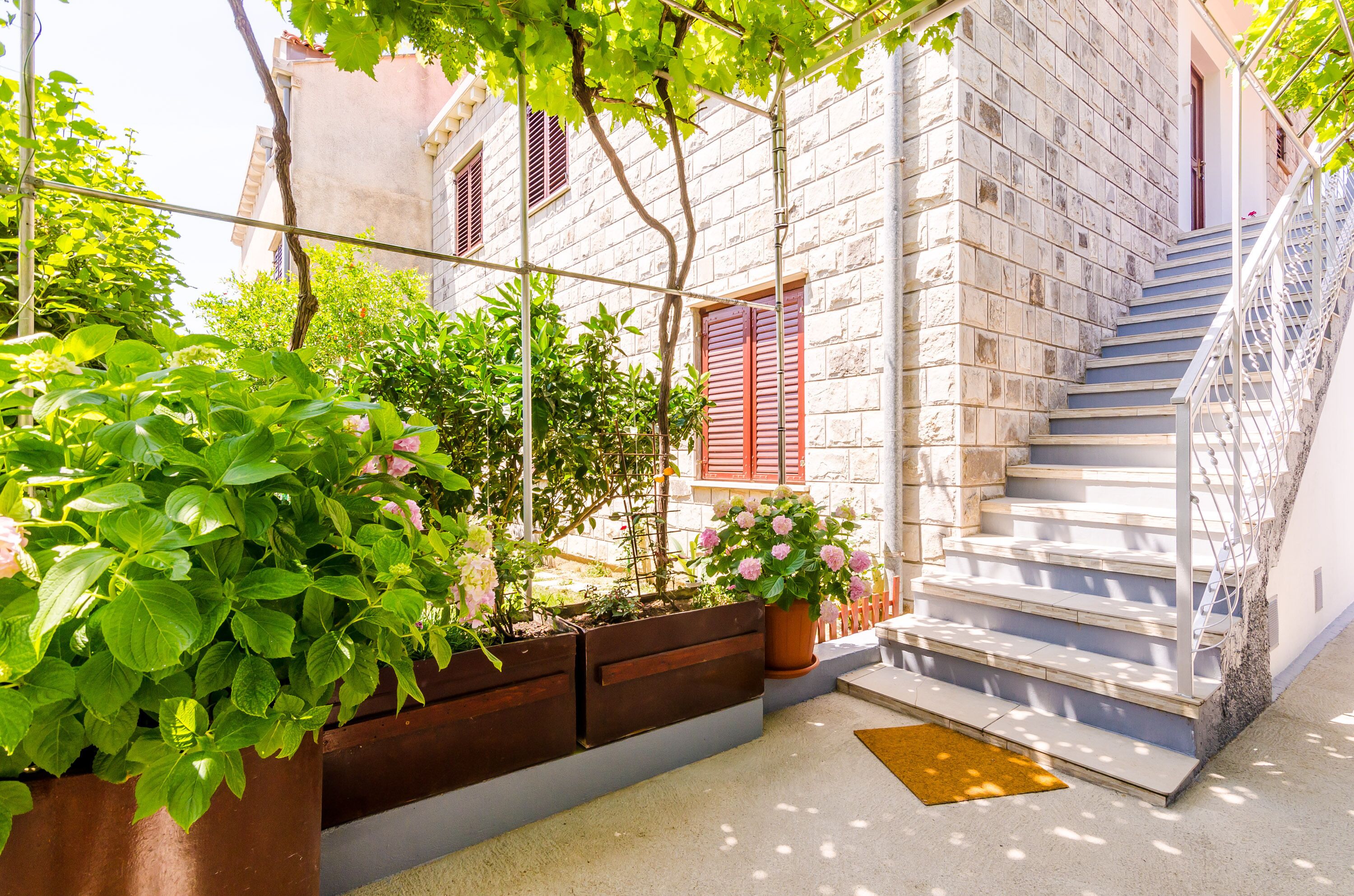 Terrein van de accommodatie