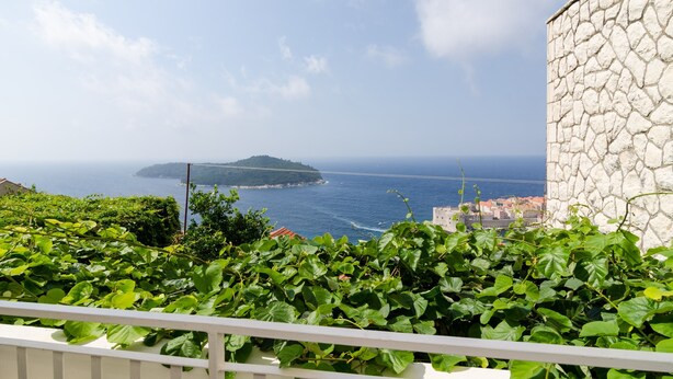 Un balcon orné d’un feuillage verdoyant et luxuriant, offrant une vue sur la côte, avec un mur de pierre et une île lointaine.