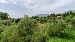 Ländliche Landschaft mit dichter Vegetation, vereinzelten Gebäuden und einem Berg im Hintergrund.