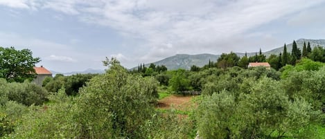 Un paysage rural caractérisé par une végétation luxuriante, quelques bâtiments dispersés et une montagne en arrière-plan.