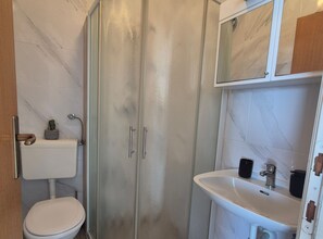 Et badeværelse med toilet, glasvæg omkring bruseren, vask og en lille kaktus som pynt.