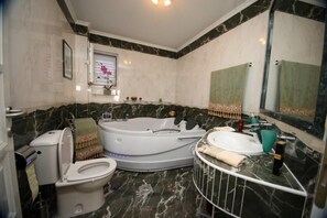 Hydromassage showerhead, hair dryer, towels