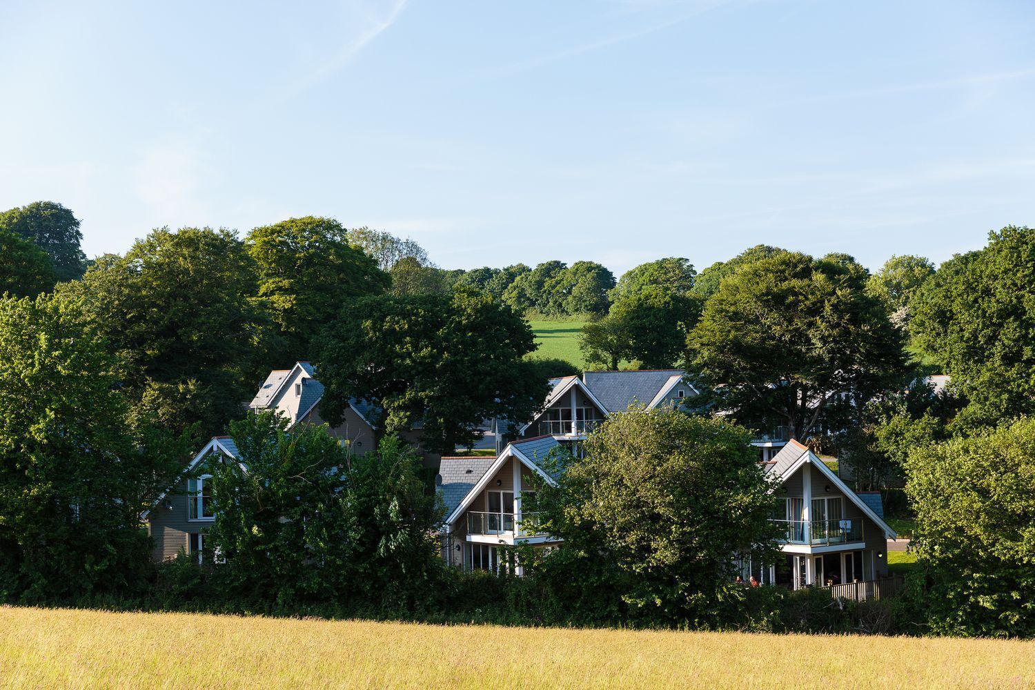 Cottage | Aerial view