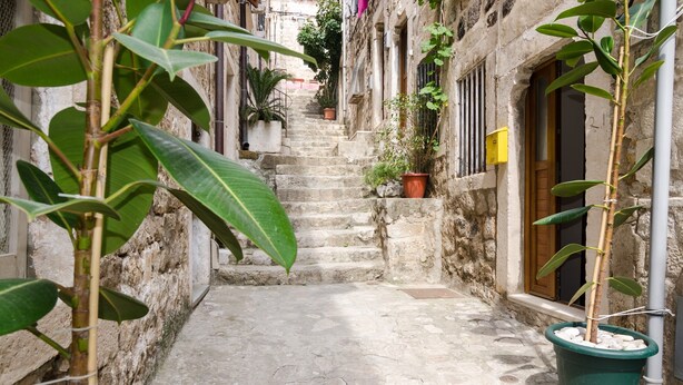 Una estrecha escalera de piedra que sube hacia un edificio con macetas y una puerta.